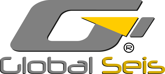 Global SEIS, Apasionados por la tecnología